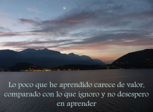 frase de formacion
